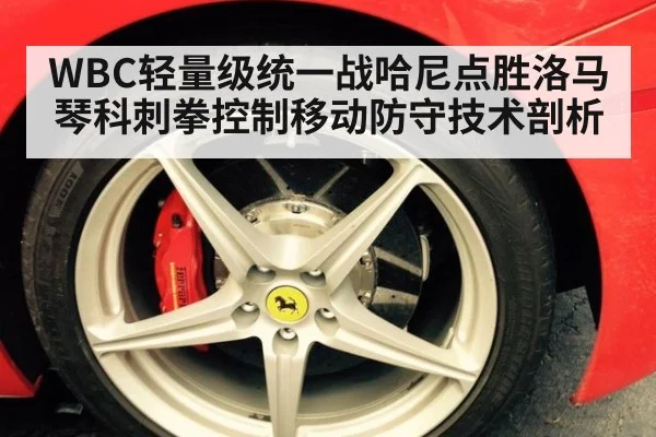 WBC轻量级统一战哈尼点胜洛马琴科刺拳控制移动防守技术剖析